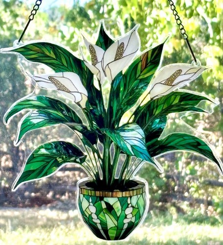Potted white peace - potted, spathe